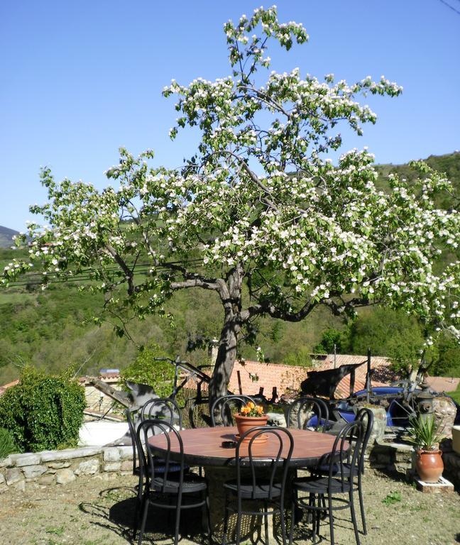 Hostal Moline Bruguera ภายนอก รูปภาพ